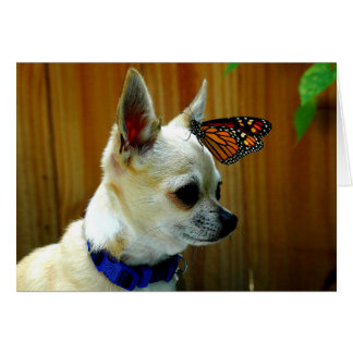 Tito en de monboogkaart