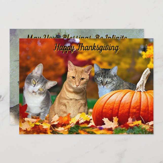 Tito, Taz, and Annie's 2025 Thanksgiving Flat Card (Voorkant / Achterkant)