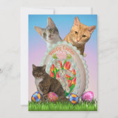 Tito, Taz, Annie Cat Pasen Groeten Platte Kaart (Voorkant)