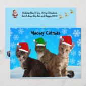 Tito, Taz en Annie wensen je een poezenkerstmis Feestdagenkaart (Voorkant / Achterkant)