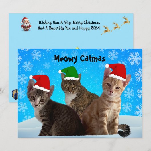 Tito, Taz en Annie wensen je een poezenkerstmis Feestdagenkaart (Voorkant / Achterkant)