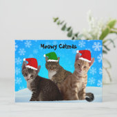 Tito, Taz en Annie wensen je een poezenkerstmis Feestdagenkaart (Staand voorkant)