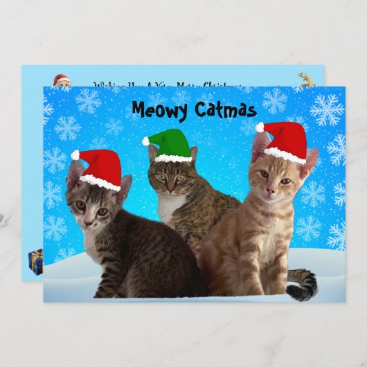 Tito, Taz en Annie wensen u een poezeleker Kerstmi Feestdagenkaart (Voorkant / Achterkant)