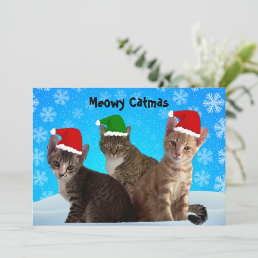 Tito, Taz en Annie wensen u een poezeleker Kerstmi Feestdagenkaart (Staand voorkant)