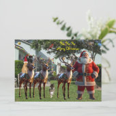 Tito's Droom - 2025 Kerstkaart (Staand voorkant)