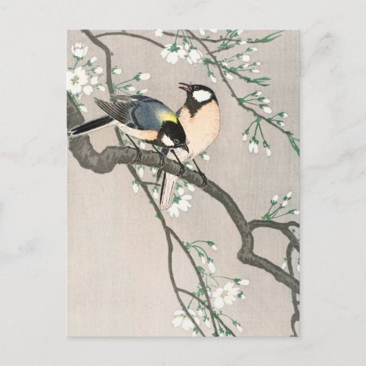 Tits op Cherry Branch - Ohara Koson - kunst Briefkaart (Voorkant)