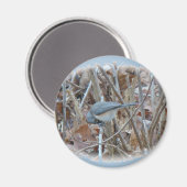 Titted Titmouse Songbird Coordinating Items Magneet (Voorkant / Achterkant)