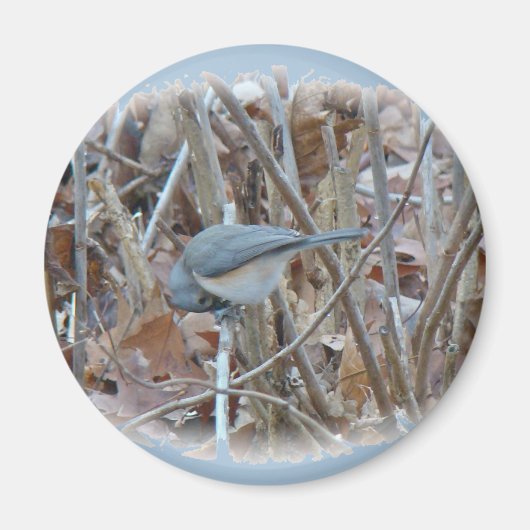 Titted Titmouse Songbird Coordinating Items Magneet (Voorkant)