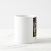 TITUDE! KOFFIEMOK (Center)