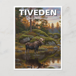 Tiveden National Park Zweden Reizen Briefkaart