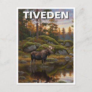 Tiveden National Park Zweden Reizen Briefkaart