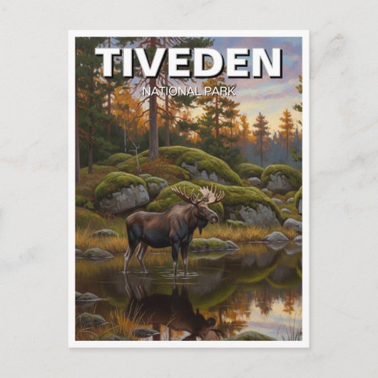 Tiveden National Park Zweden Reizen Briefkaart (Voorkant)