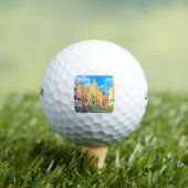 Tiverton Golfballen (Insitu Shirt)