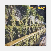 Tivoli koelkast magneet (Voorkant)