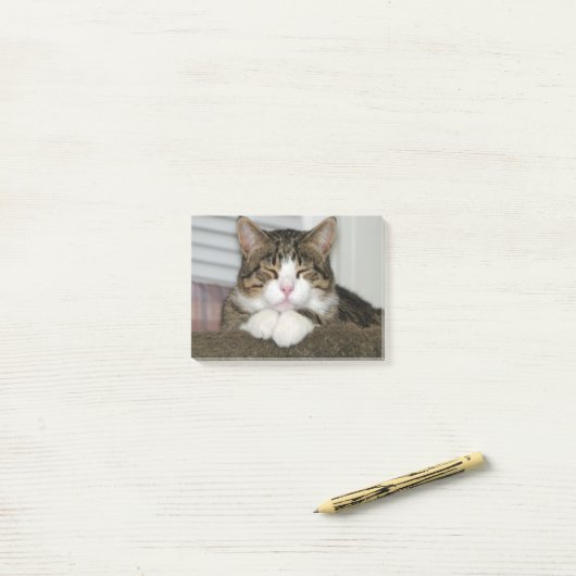 TJ POST-IT® NOTES (Op bureau)