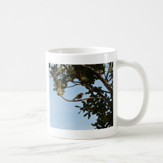 Tjiftjaf Koffiemok
