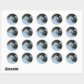 Tjiftjaf Ronde Sticker (Vel)