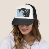 Tjiftjaf Trucker Pet (In situ)