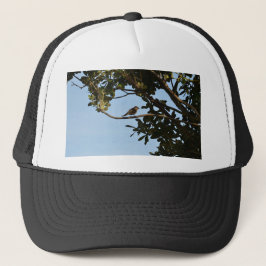 Tjiftjaf Trucker Pet