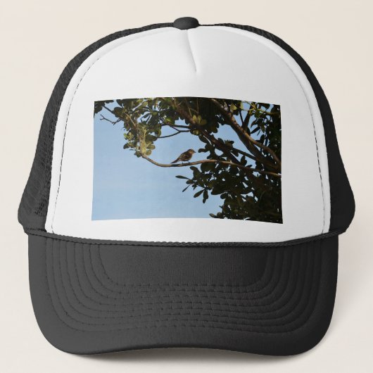 Tjiftjaf Trucker Pet (Voorkant)