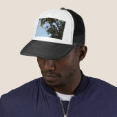 Tjiftjaf Trucker Pet (In situ)