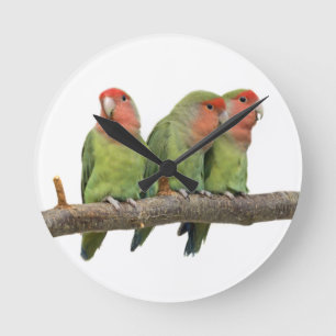 Tjirp de Klok van het Trio