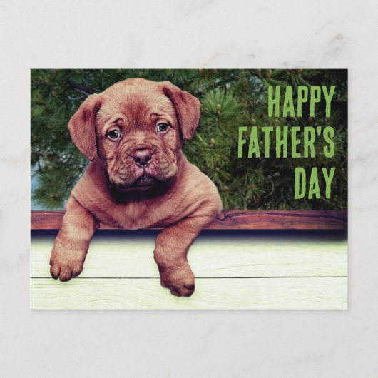 Tjong bruin puppy foto speciale gelegenheid sjablo briefkaart (Voorkant)