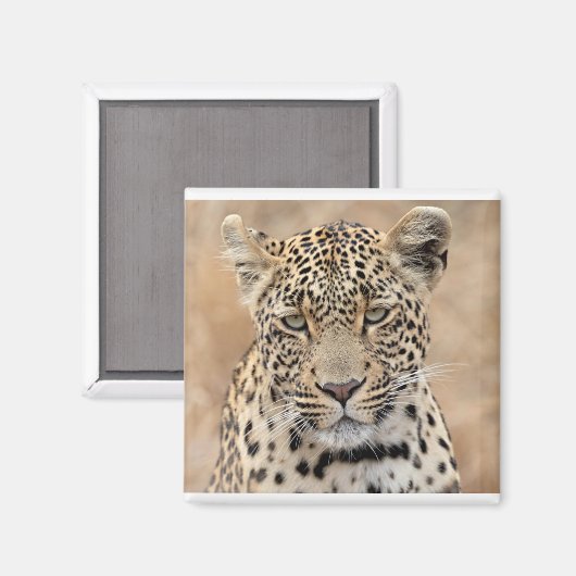 Tlalamaba Princess of Djume vrouw laopard Magneet (Voorkant / Achterkant)