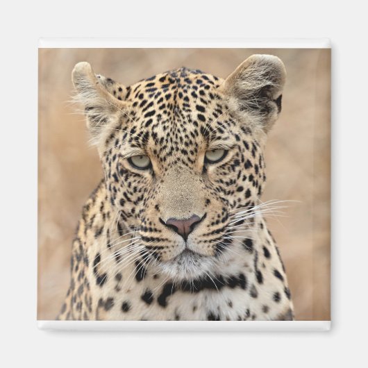 Tlalamaba Princess of Djume vrouw laopard Magneet (Voorkant)