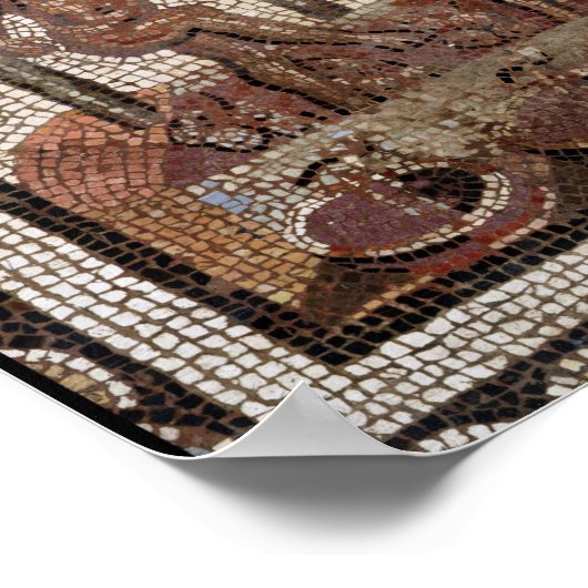 Tlezingdruiven uit Saint-Roman-en-Gal Poster (Hoek)