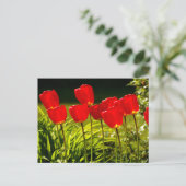 Tlip-impressie Briefkaart (Staand voorkant)