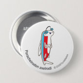 TM-02-Paracheirodon axelrodi Ronde Button 7,6 Cm (Voorkant /achterkant)
