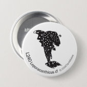 TM-05-L240 Leporacanthicus cf Ronde Button 7,6 Cm (Voorkant /achterkant)