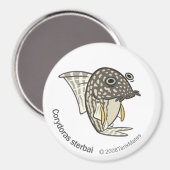 TM-08-Corydoras sterbai Magneet (Voorkant / Achterkant)