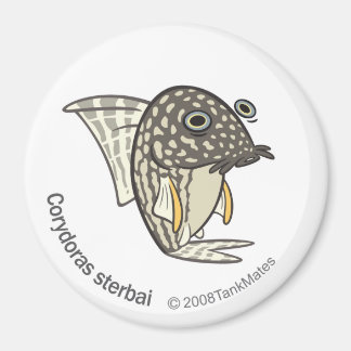 TM-08-Corydoras sterbai Magneet
