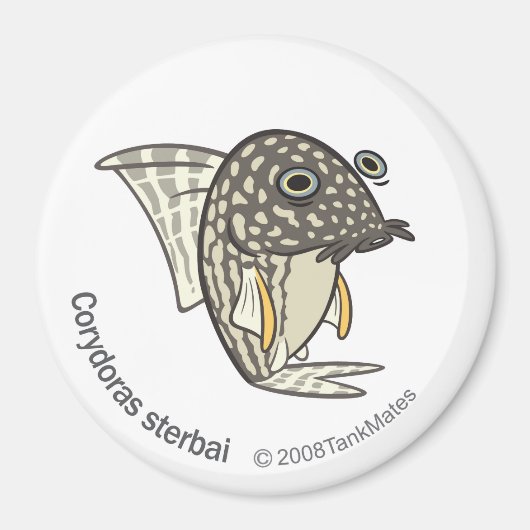 TM-08-Corydoras sterbai Magneet (Voorkant)