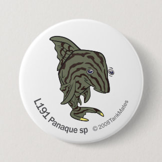 TM-13-L191 Panaque sp. Ronde Button 7,6 Cm