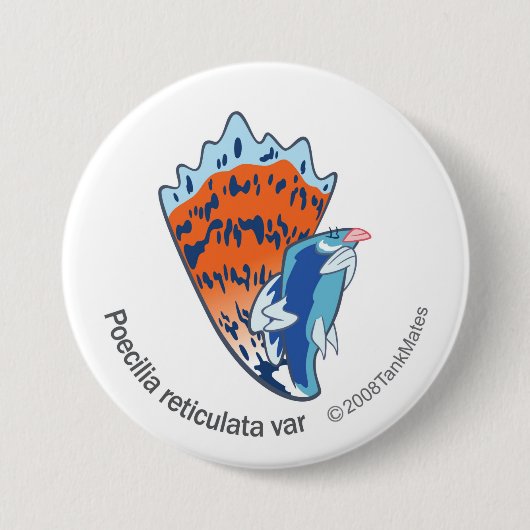 TM-16-Poecilia reticulata var Ronde Button 7,6 Cm (Voorkant)