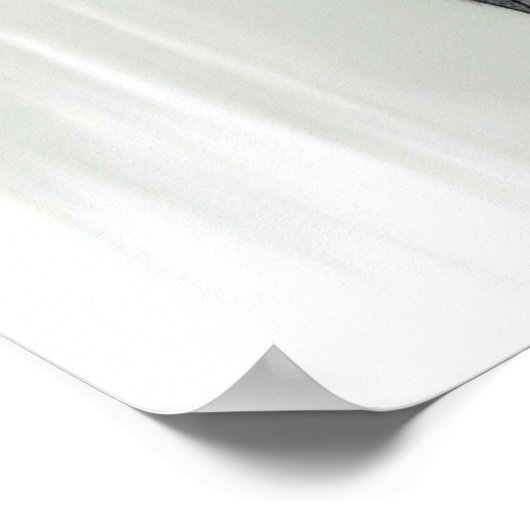 tm weiwei poster (Hoek)