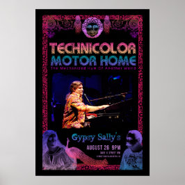 TMH Sally's DC Poster