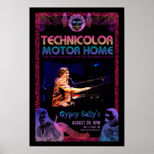 TMH Sally's DC Poster