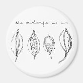 TMII-magneet Magneet (Voorkant)