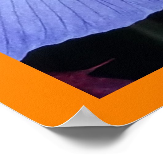 TN Iris Poster Tennessee State Flower (Hoek)