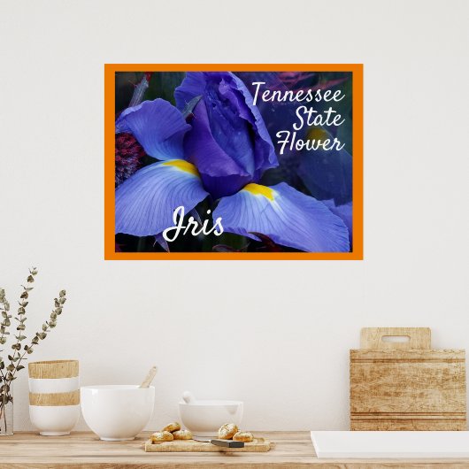 TN Iris Poster Tennessee State Flower (Keuken)