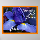 TN Iris Poster Tennessee State Flower (Voorkant)