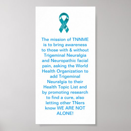 TN-Poster Poster (Voorkant)