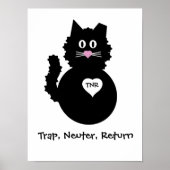 TNR - Fuzzy Kat Poster (Voorkant)