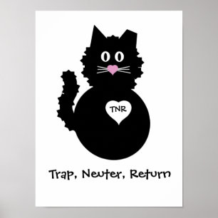 TNR - Fuzzy Kat Poster