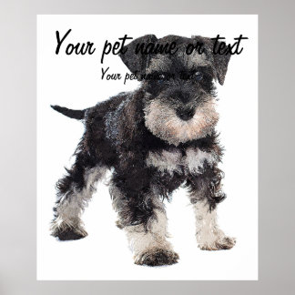 To Cute Puppy Miniature Schnauzer Dog Poster