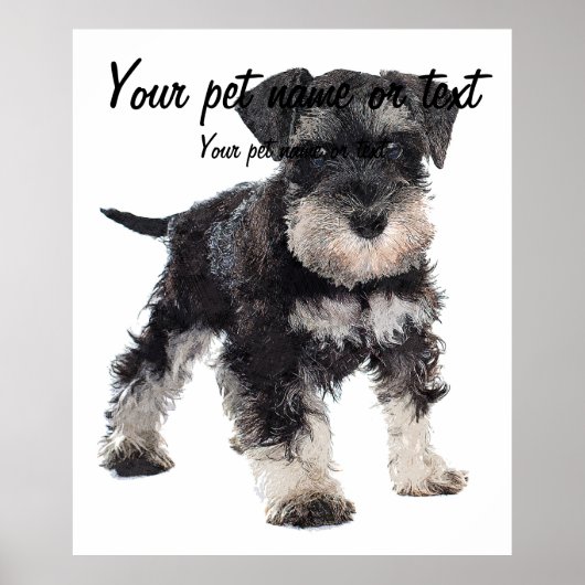 To Cute Puppy Miniature Schnauzer Dog Poster (Voorkant)